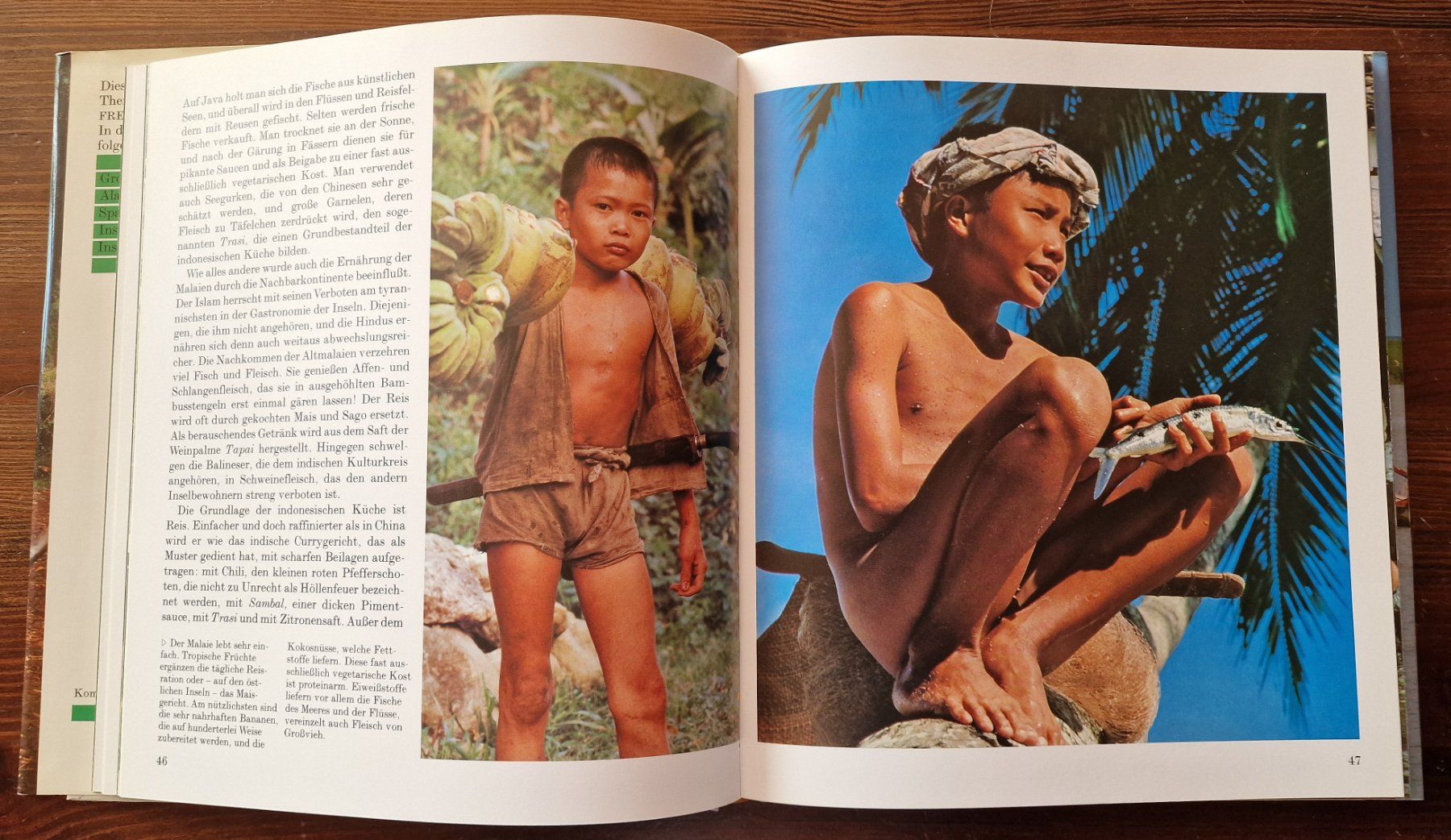 Libri: Indonesien – Usato da Röthenbach i. E. venduto da Heureka5 4