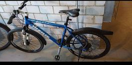Wheeler Mountainbike 19 Zoll Räder