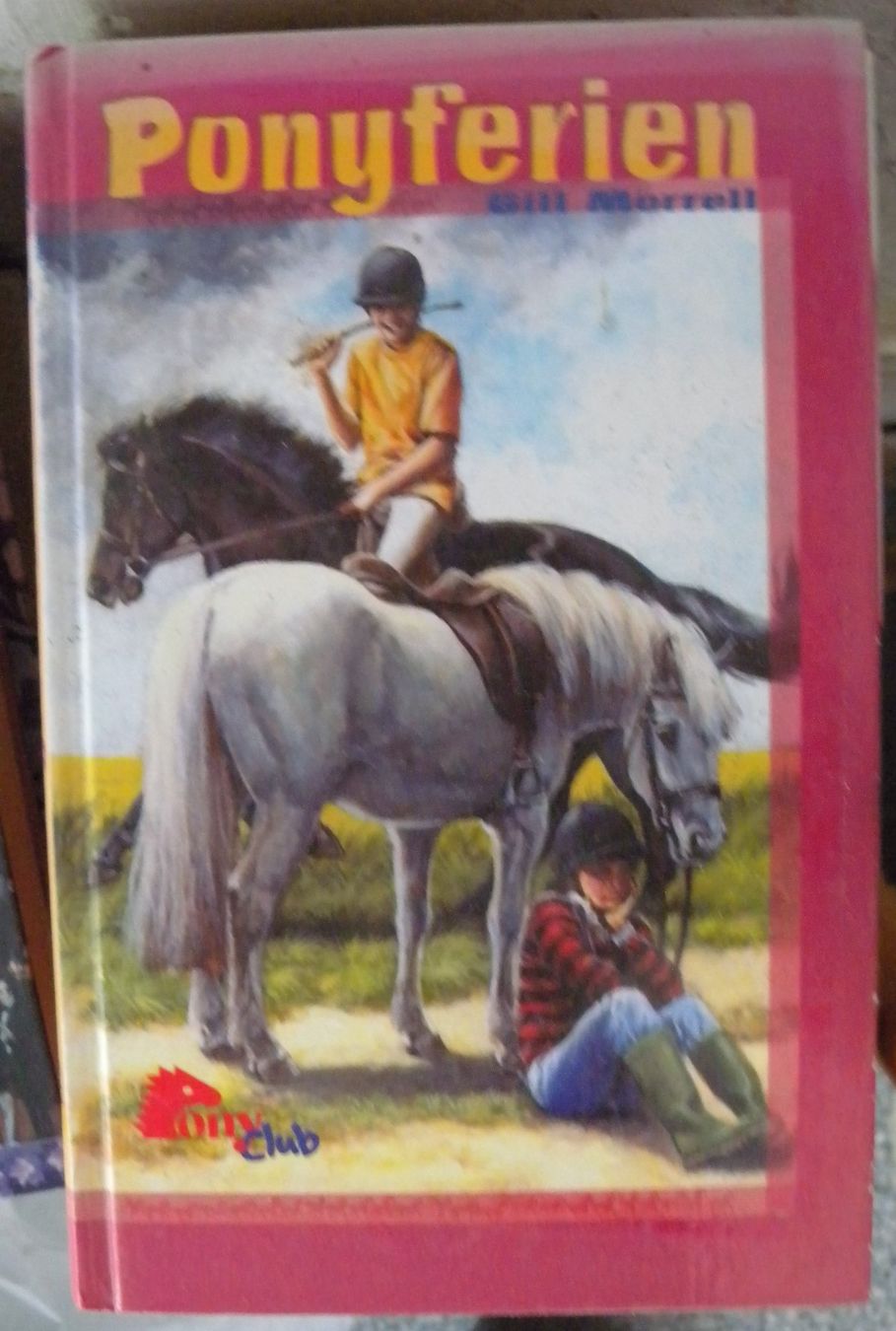 Libri: Ponyferien – Usato da Hauenstein venduto da Danbach