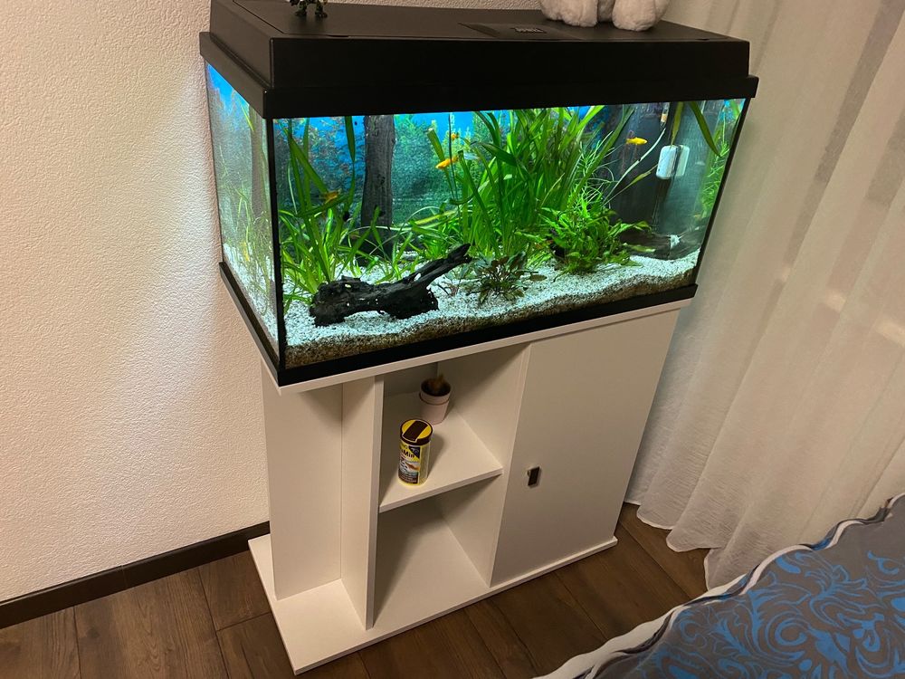 Fische Fur 120 Liter Aquarium