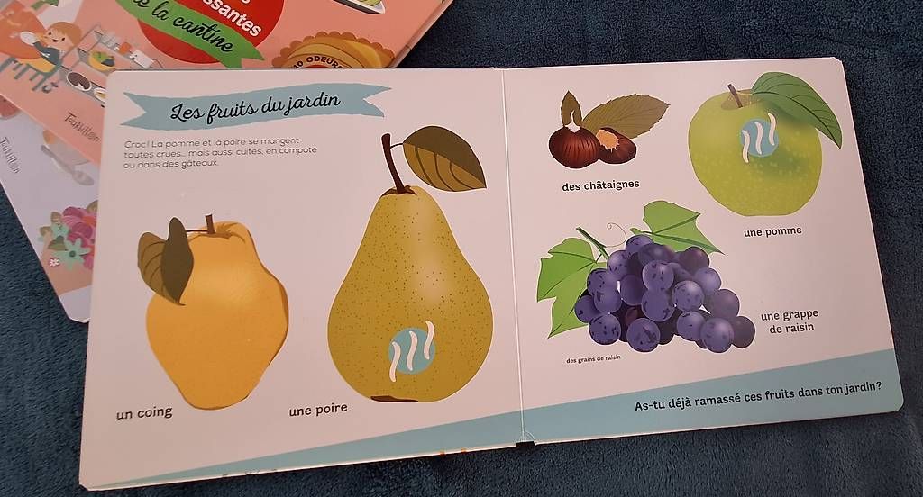 Libri: 3 livres avec de vraies odeurs – Usato da La Chaux-de-Fonds venduto da kellina 1