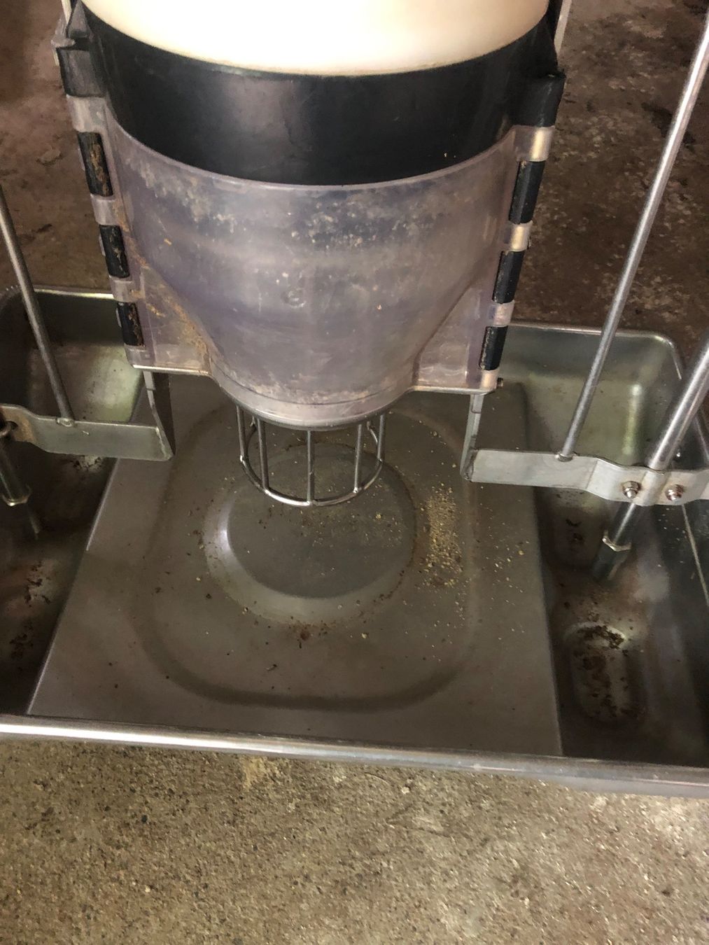 Tutte le macchine: Futterautomat für Schweine – Usato da Homburg venduto da goivanni 1