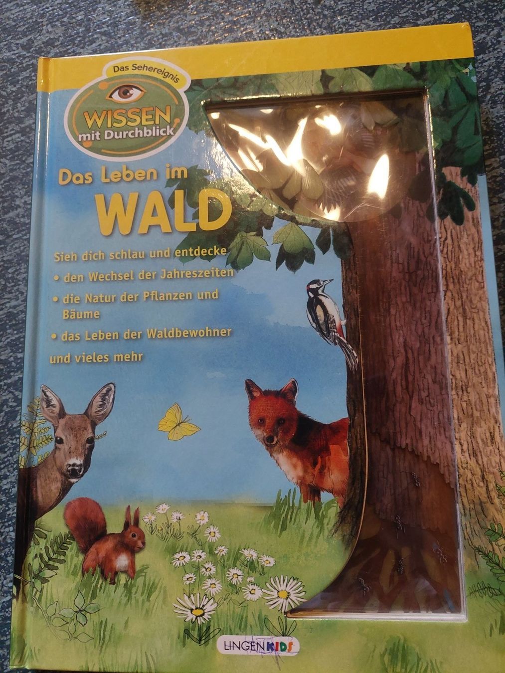 Libri: Wissen mit Durchblick Buch – Usato da Unterbäch VS venduto da Nifadi