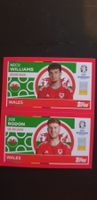 Euro 2024 Sticker Topps WAL4/WAL5