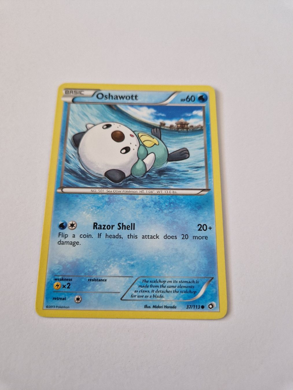 Pokémon Sammelbilder & Trading cards: Oshawott - Legendary Treasures - EN  – Gebraucht aus Romont FR von raj_sjv9 1