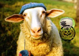 Maximumkarte Shaun the Sheep**