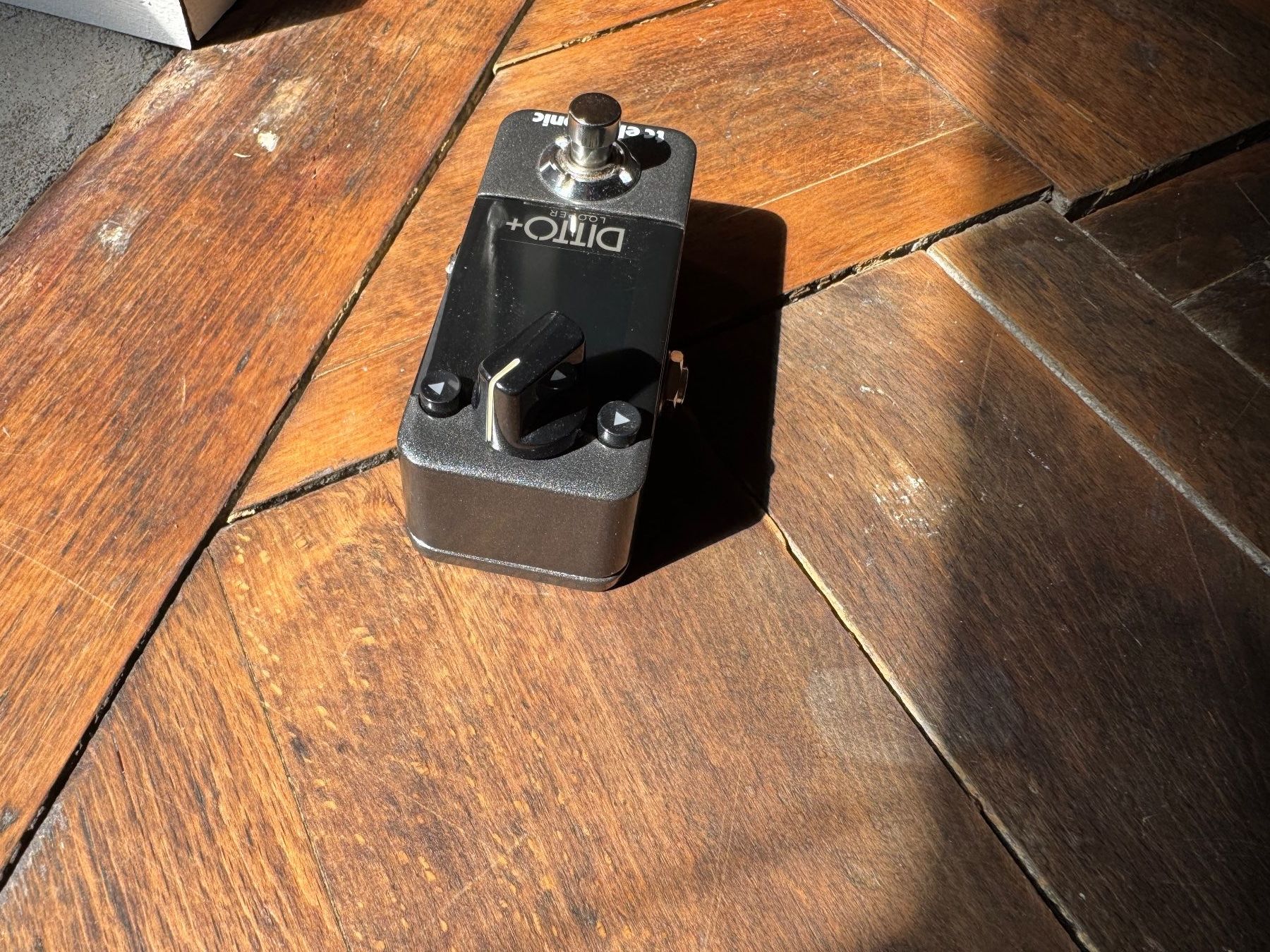 Musikinstrumente: TC Electronic Ditto+ Looper Pedal – Gebraucht aus Bern von A.W.S.R 2