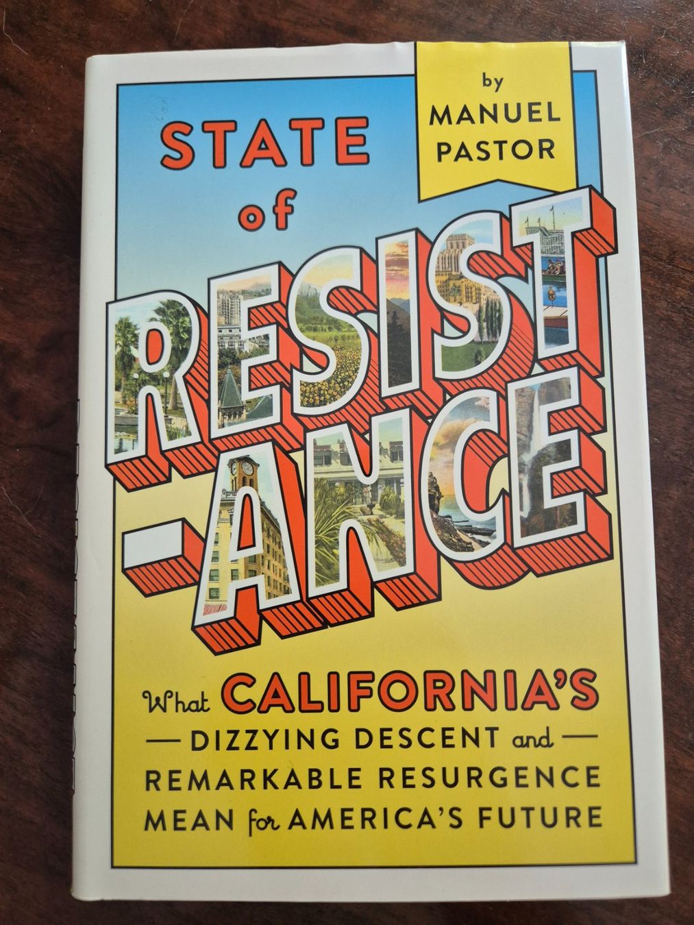 Libri: State of Resistance - Manuel Pastor – Usato da Luzern venduto da Rafa.s