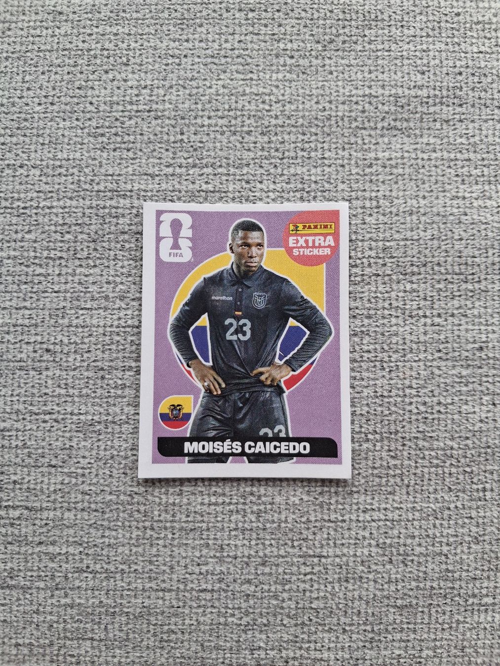 Panini Sammelbilder & Trading cards: Extra Sticker Caicedo – Neu (gemäss Beschreibung) aus St. Gallen von Nitrol910