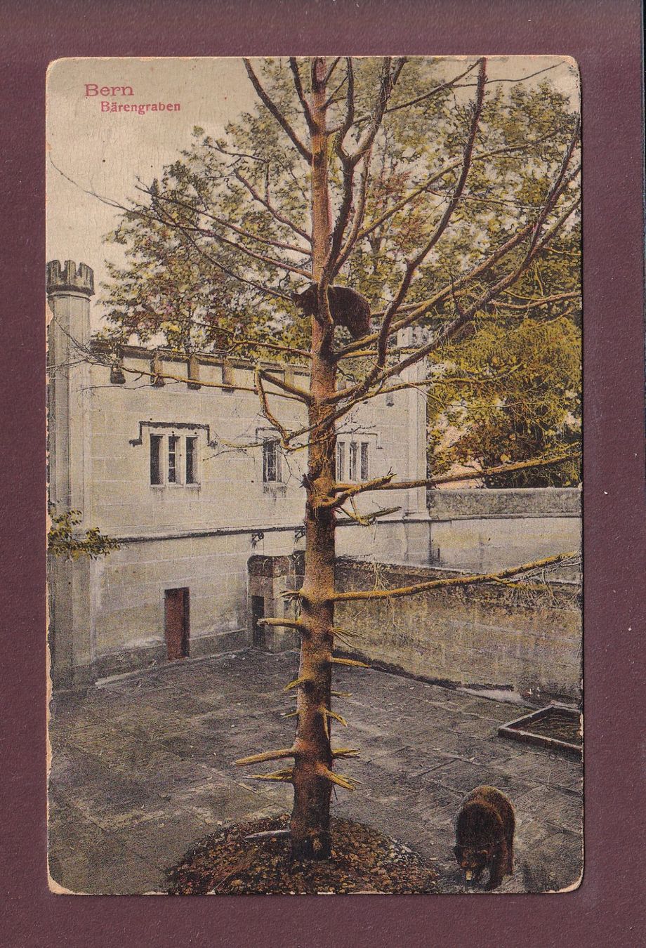 Ansichtskarten: BERN - Bärengraben - 1913 – Gebraucht aus Pully von nicecards