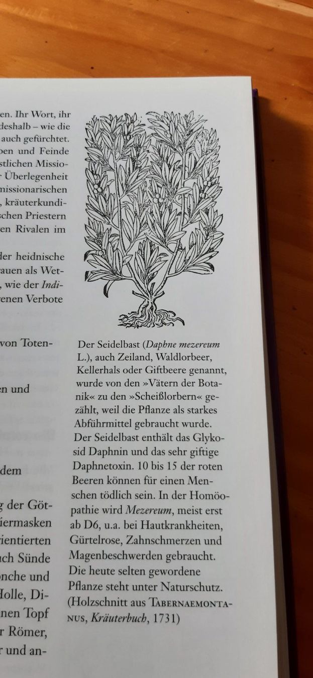 Livres: Wolf Dieter Storl- Hexenmedizin – D'occasion à Doppleschwand par Sandrafritz 2