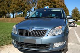 Skoda Fabia Combi 1.6 TDI (2010)  sparsam, top ausgestattet