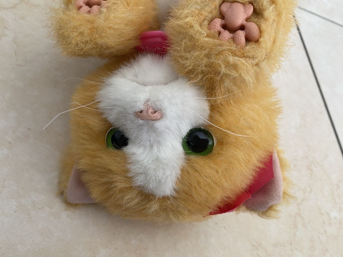Hasbro Giocattoli: Jouet Chat Hasbro Friends – Usato da Aproz (Nendaz) venduto da ann_69m9 6