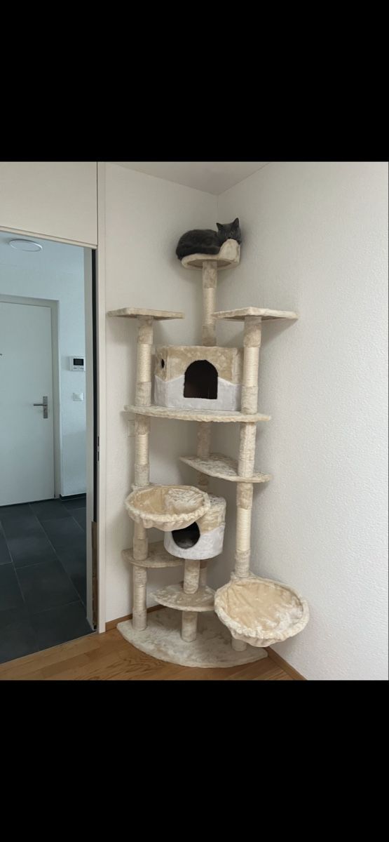 Tiragraffi: Cat tree beige with multiple levels and caves used – Usato da Winterthur venduto da Seray56