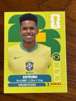 BRA 20 Panini WM26