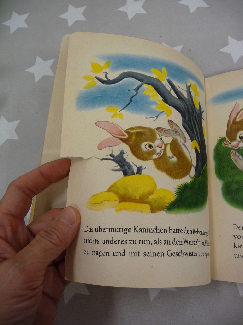 Libri: Buch: Das übermütige Kaninchen – Usato da Rafz venduto da Powacaddy 4