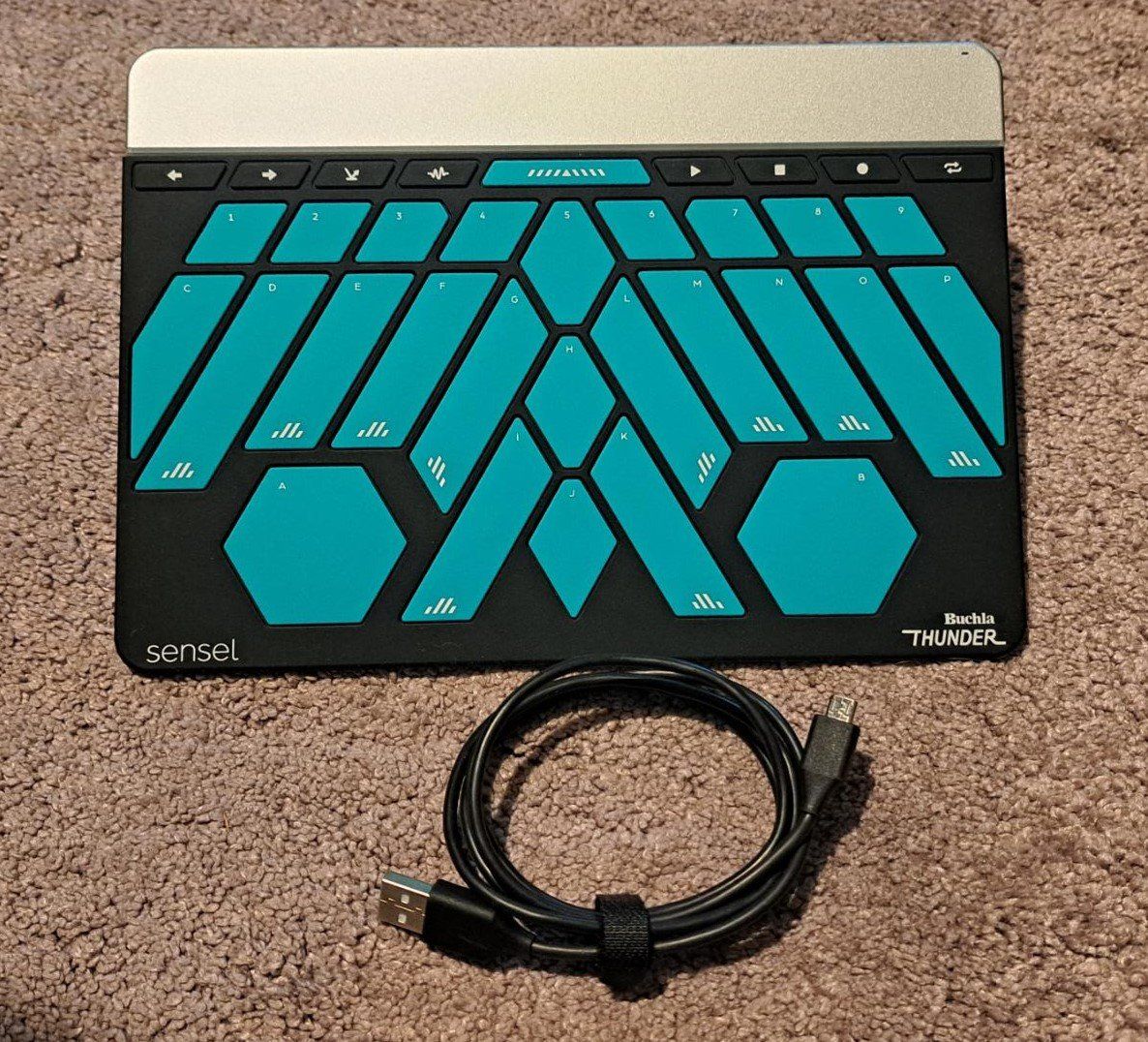Instruments de musique: Sensel Morph & Buchla Thunder Overlay – D'occasion à Wahlendorf par Somedas
