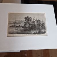 Insel Ufenau im Züricher See