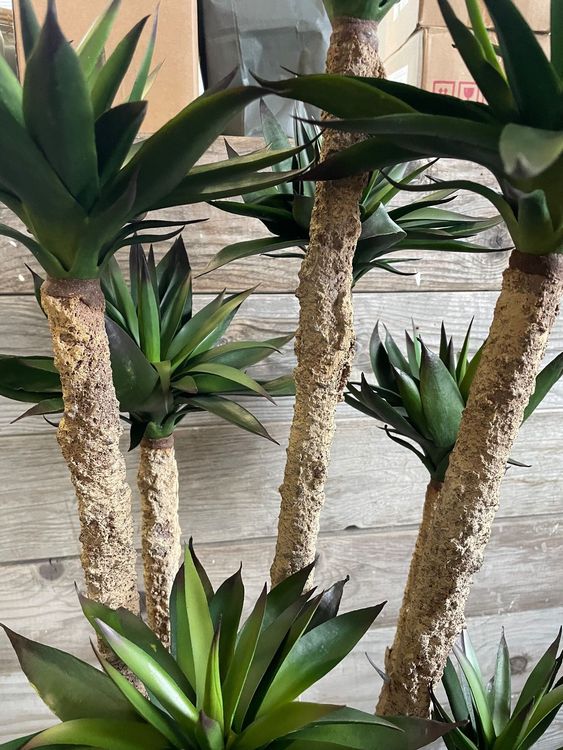 Agave 150cm hoch/Pflanze/Kunstbaum/Neu/OVP Kaufen auf Ricardo