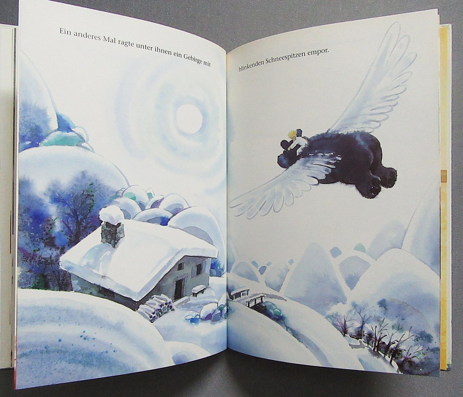 Libri: Der blaue Bär - Bilderbuch illustriert von Daniel Küttel – Usato da Auenstein venduto da Padabimbim 7