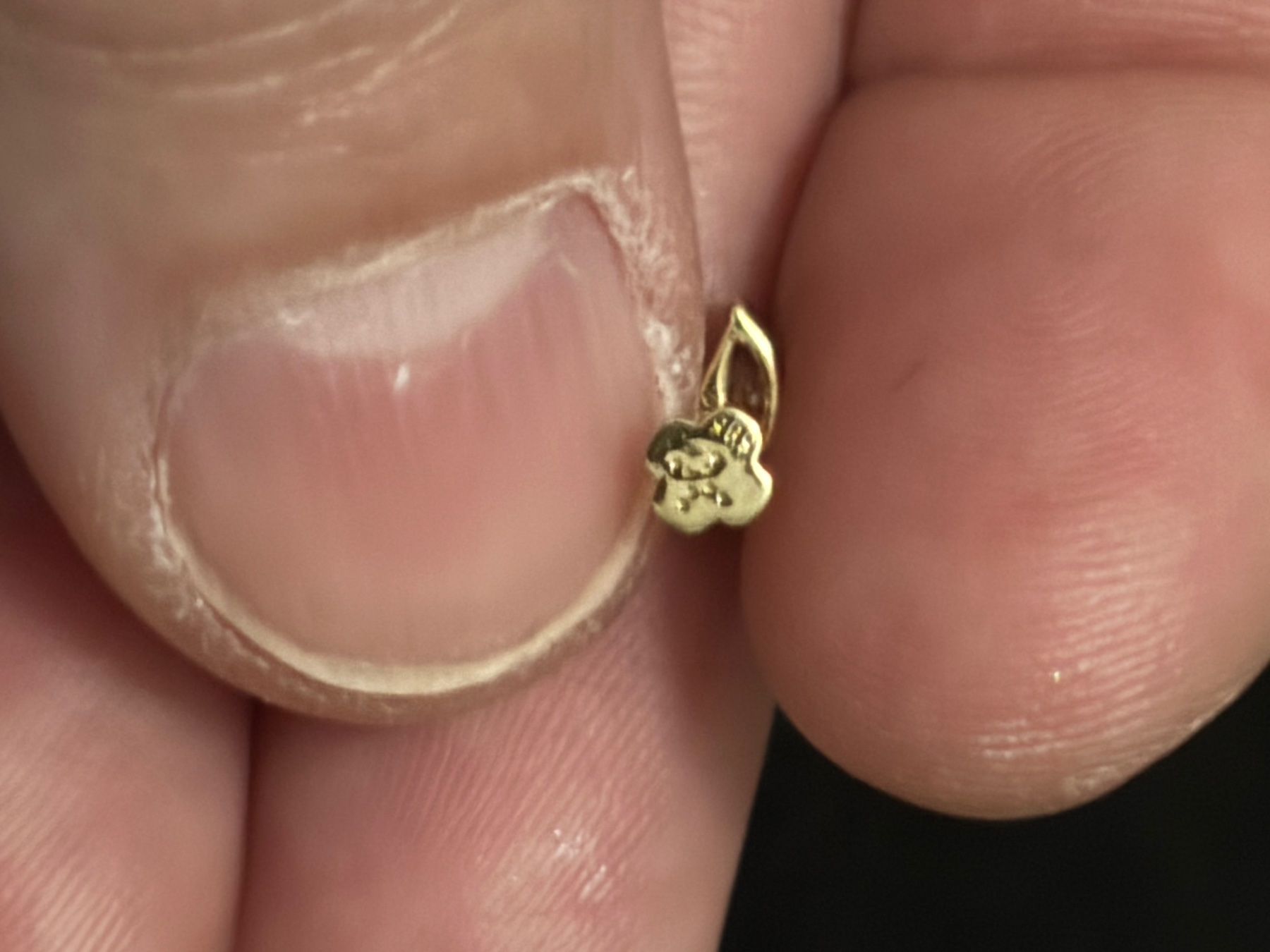 Gioielli per piercing: GIAHI Ohrenpiercing Neu – Nuovo (secondo la descrizione) da Spreitenbach venduto da seida76 5