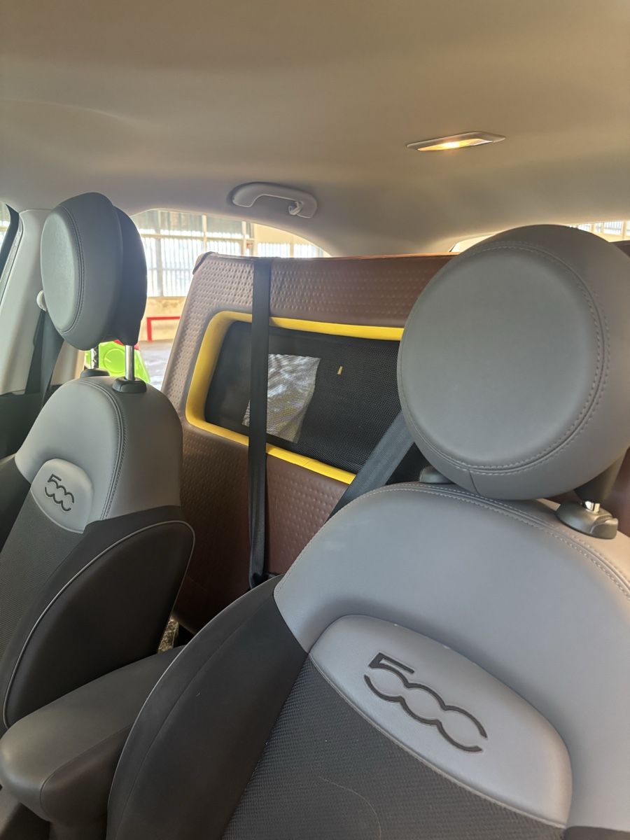 Gabbie, trasporto & Sicurezza: Tami Hundetransportbox – Usato da Biel/Bienne venduto da lua_rjg2 5