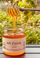Rhäzünser Bienenhonig 2026 – ein Stück Graubünden im Glas