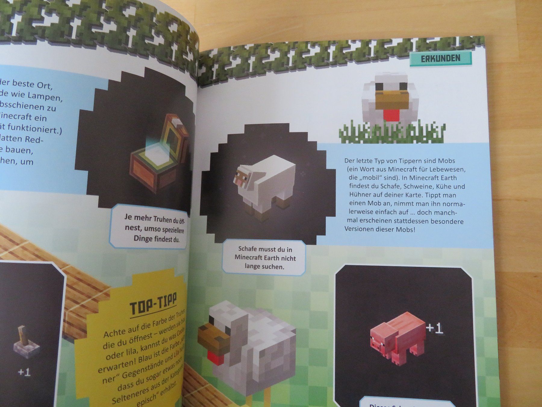 Lego Giocattoli: LEGO Minecraft Earth "Das Game Buch" – Nuovo (secondo la descrizione) da Zürich venduto da piroma 2