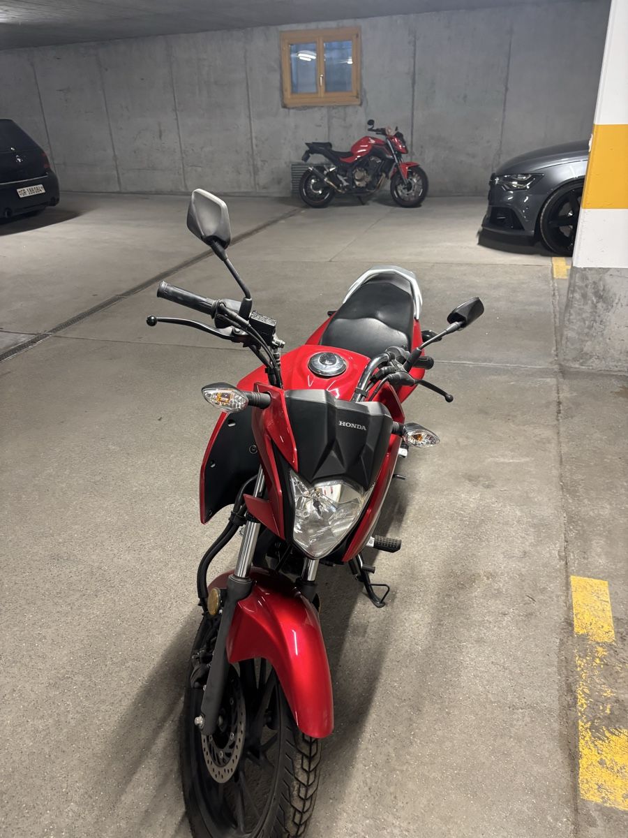 Honda Route: Honda CBF125 – Neuf (Voir description) à Serneus par Eroth_Orraxen 6