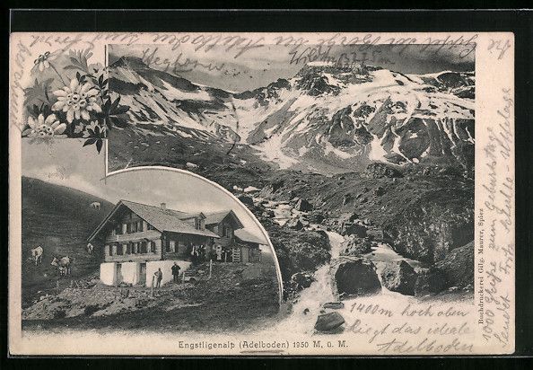 Cartes postales: Adelboden, Engstligenalp, Bergpanorama – D'occasion à Berlin par bartko-reher