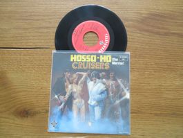 Hossa-Ho Cruisers - The Warrior - Seltene Single! Top!