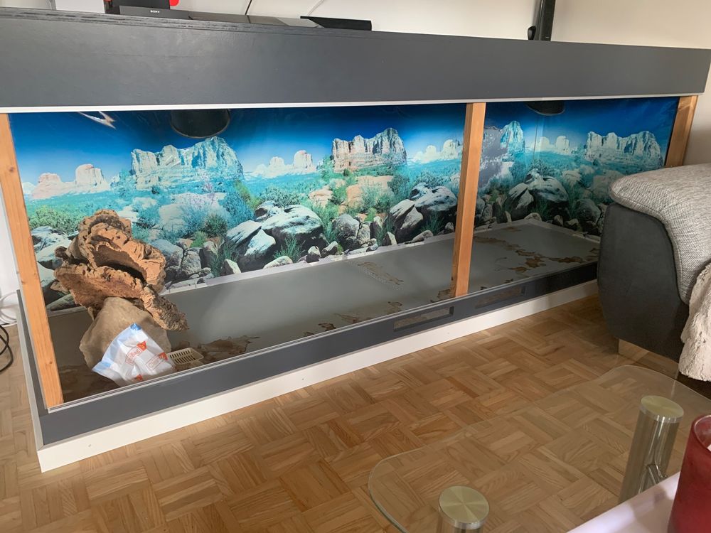 Terrarium xxl Kaufen auf Ricardo