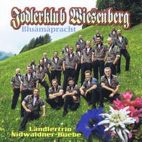 CD Jodlerklub Wiesenberg - Blüämapracht (2012)