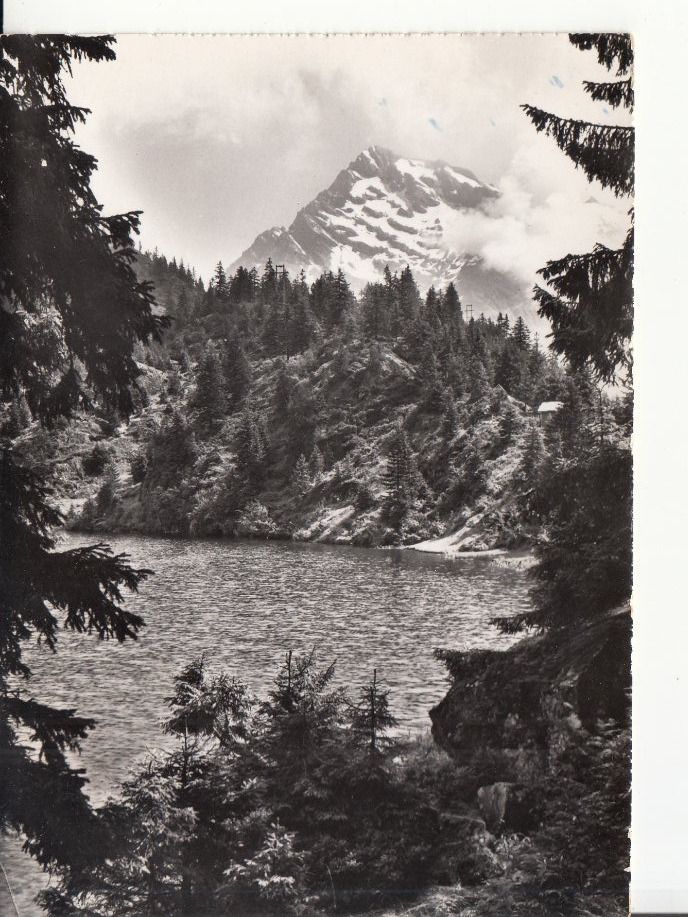 Cartoline postali: Golzernsee 1956 – Usato da Bürglen TG venduto da StampGraf