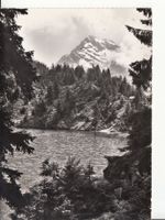 Golzernsee 1956