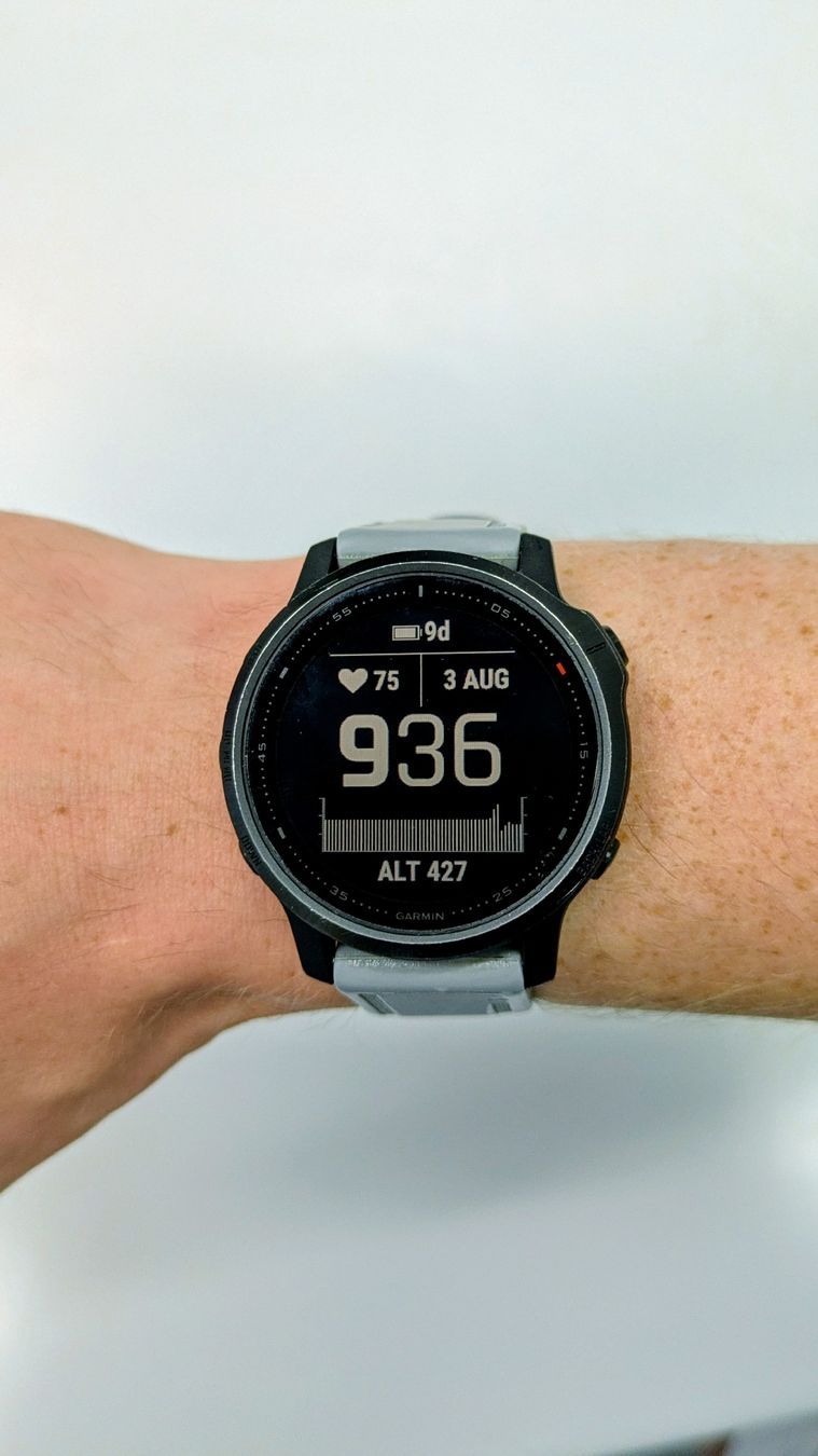 Garmin Smartwatch: Garmin Fenix 6s Pro – Gebraucht aus Zürich von jul_rqc8