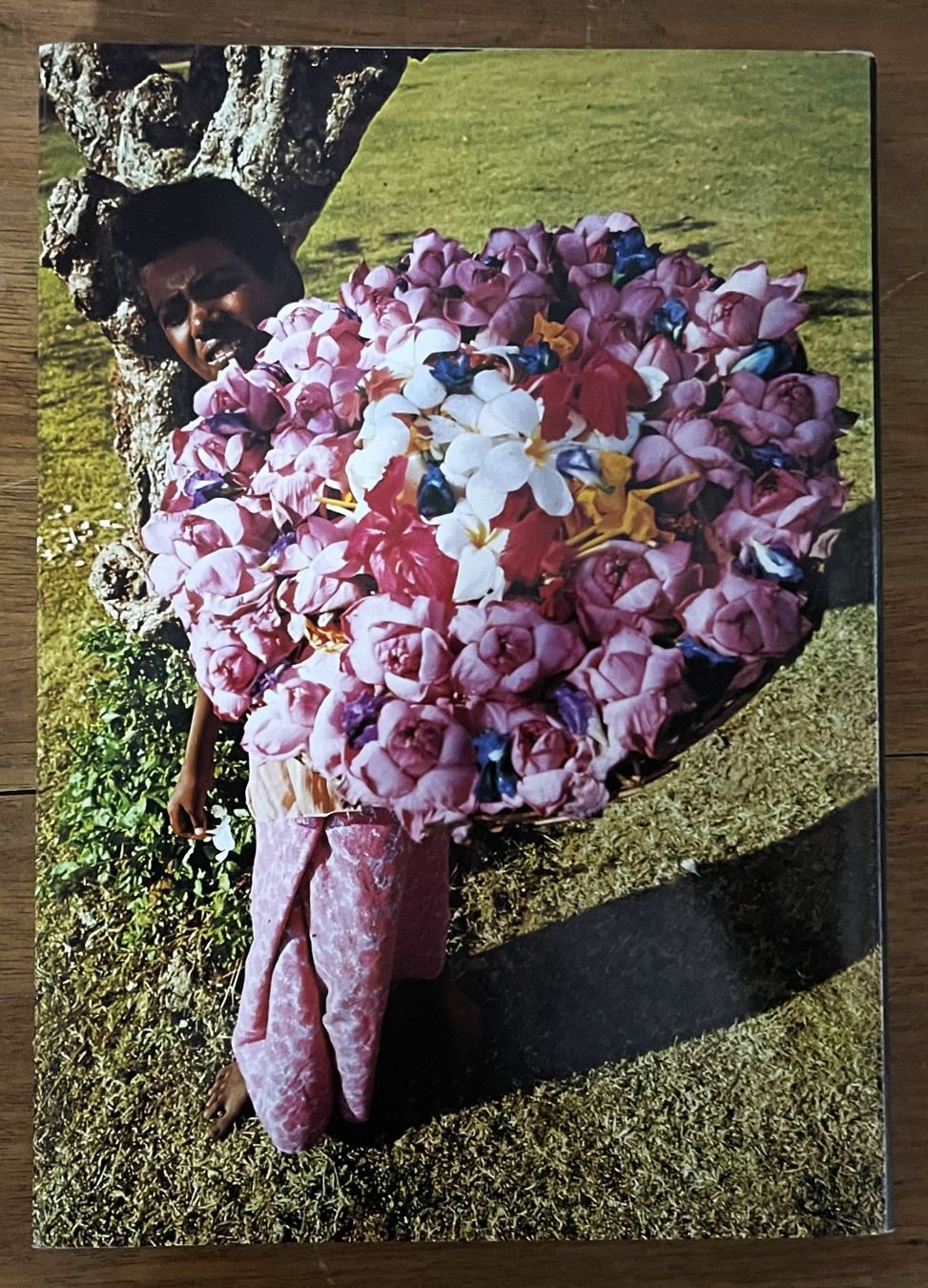 Libri: Silva Verlag, Ceylon Sri Lanka , 1977 – Usato da Oftringen venduto da Vucki 7