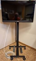 Fernseher mit Rollengestell