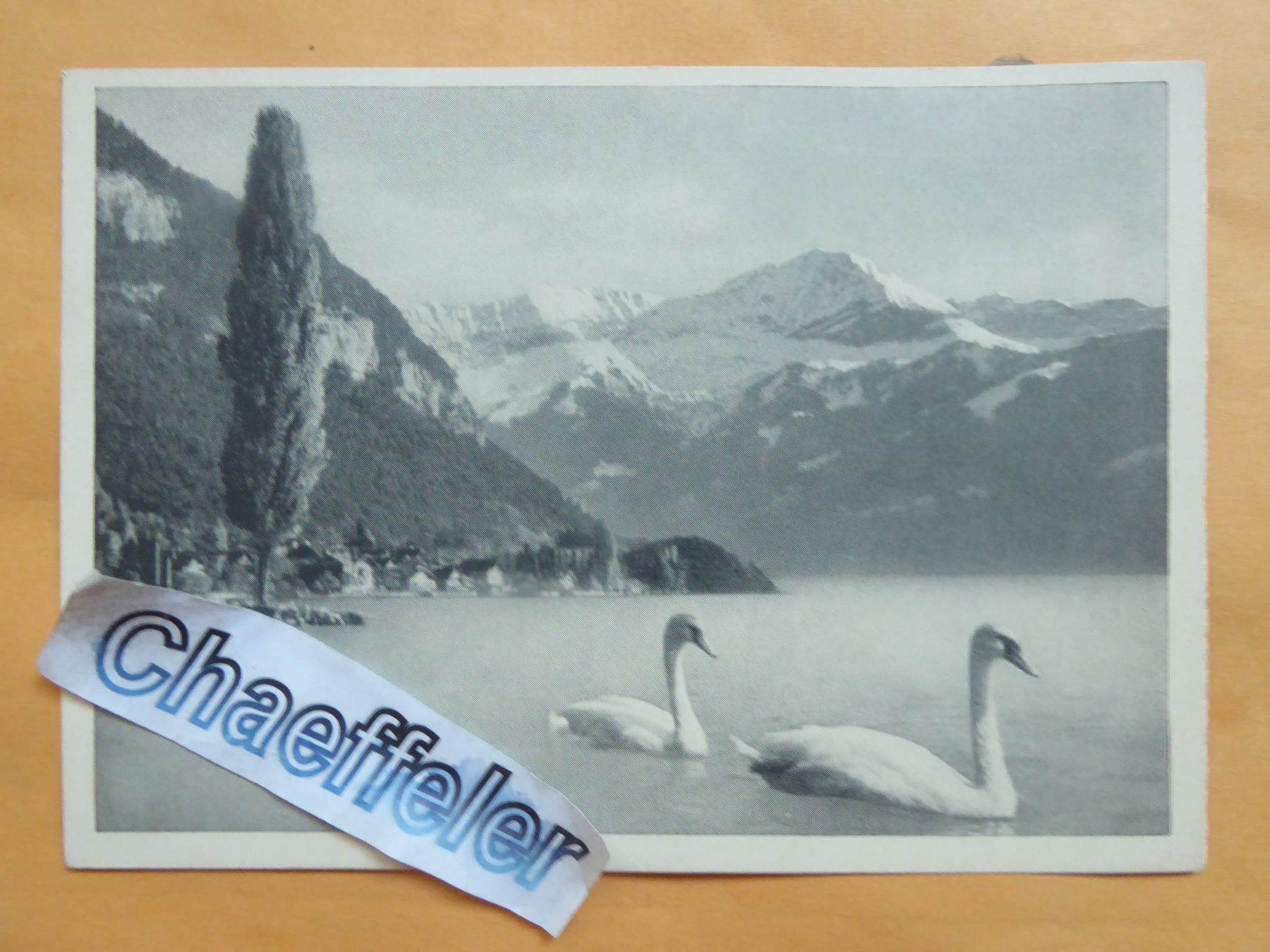 Ansichtskarten: Bei Merligen am Thunersee – Neu (gemäss Beschreibung) aus Zürich von Chaeffeler