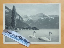 Bei Merligen am Thunersee