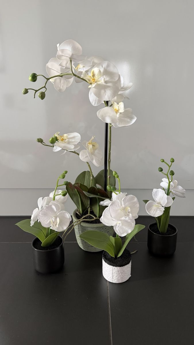Piante & sementi: Kunstpflanzen Orchideen weiss mit Kunsterde – Usato da Seuzach venduto da ann_w2zc