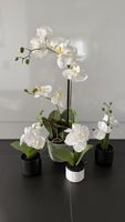 Kunstpflanzen Orchideen weiss mit Kunsterde