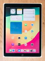 Apple iPad Pro 12,9 Zoll (2. Generation), 64 GB, Defekt!