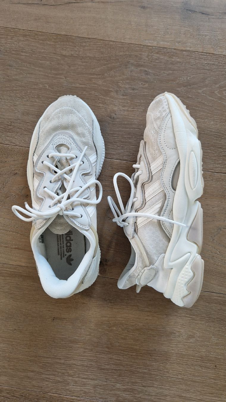 Adidas Scarpe da uomo: Adidas Ozweego 41,5 – Usato da Wettingen venduto da Diphtong