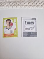 Panini Sticker ENG12