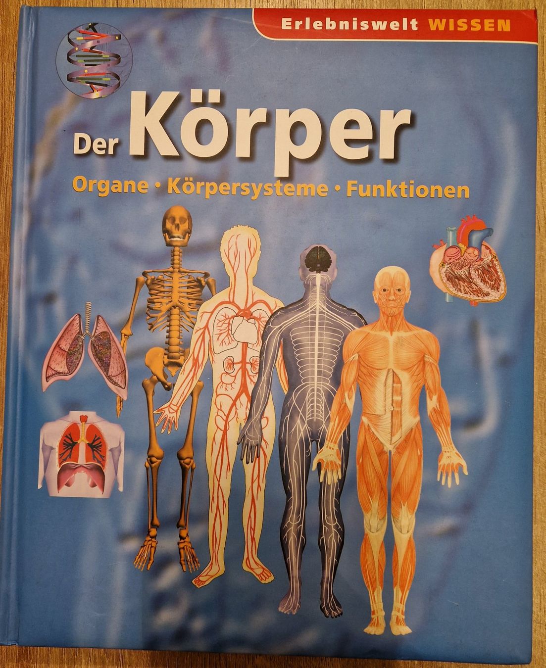 Libri: Der Körper – Usato da Salgesch venduto da cavio01