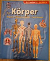 Der Körper