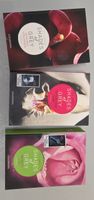 Shades of Grey Roman Trilogie von E.L. James