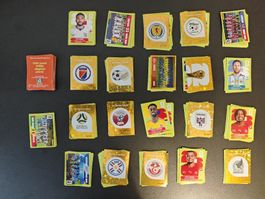 207 WM 2026 Panini + 54 digital Pack Sticker