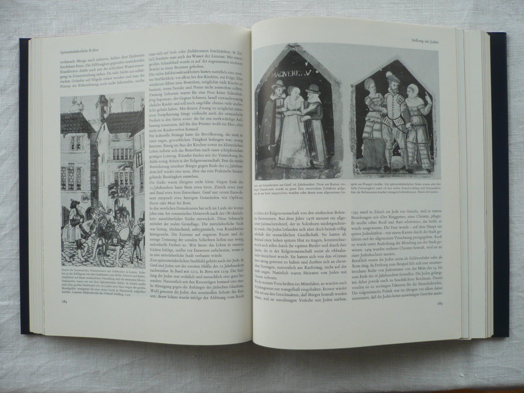 Libri: Sigm. Widmer Illustr. Geschichte der Schweiz, 1982, 5. Aufl. – Usato da Zürich venduto da saltandpepper008 3